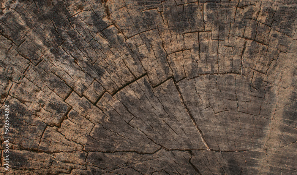 Fototapeta premium old wood background