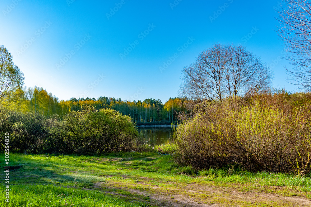 Obraz premium Forest and forest lakes in Samarskaya Luka National Park!