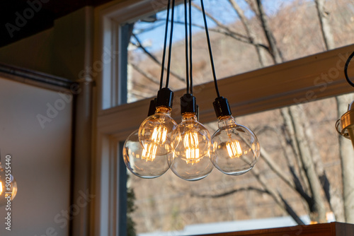 Antique lighting Edison light bulb