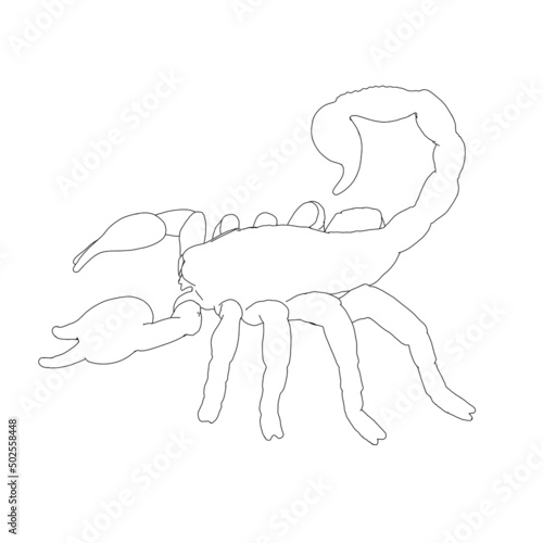 The contour of a scorpion from black lines isolated on a white background. Vector illustration.