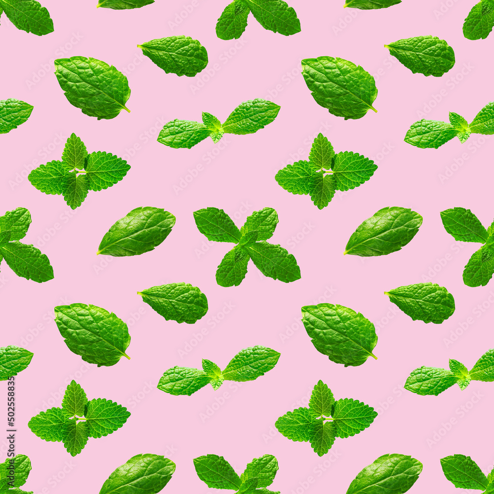 Seamless pattern of fresh mint leaves on pink background for packaging design. peppermint abstract background. Seamless pattern of fresh mint leaves on pink background for packaging design. peppermint abstract background.
