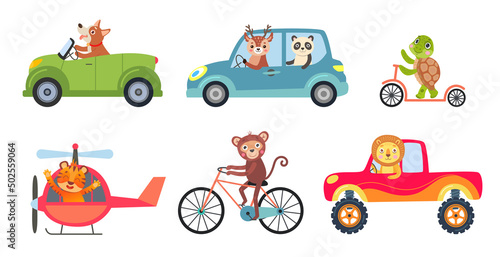 Comic animals in different vehicles vector illustrations set. Different means of transport, cute funny monkey, lion cartoon characters riding car, helicopter, bike, scooter. Transportation concept