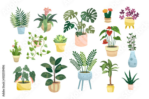 Different potted houseplants flat vector illustrations set. Indoor flowers or plants in flowerpots or vases, alocasia, begonia in pots isolated on white background. Interior, urban jungle concept