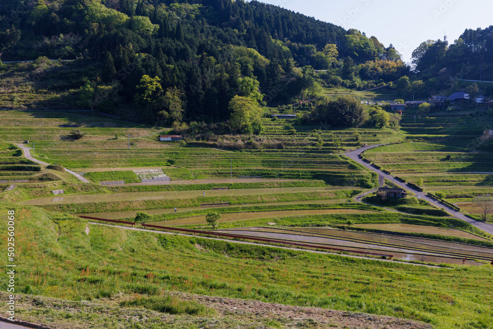 Naklejka premium 日本の岡山県美咲町の大垪和西の美しい棚田