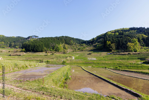 日本の岡山県美咲町の大垪和西の美しい棚田