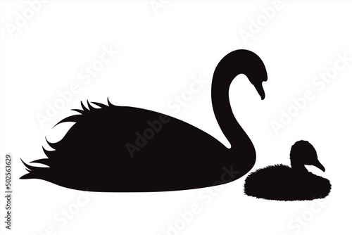 Vector silhouette of swan with baby swan. Symbol of wild animal and family.