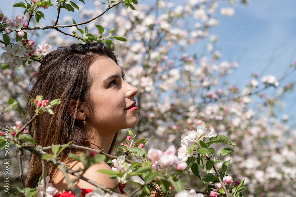 Young caucasian woman enjoying the flowering of an apple trees Young caucasian woman enjoying the flowering of an apple trees