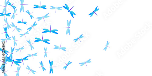 Tropical cyan blue dragonfly isolated vector background. Spring pretty insects. Decorative dragonfly isolated fantasy illustration. Gentle wings damselflies graphic design. Garden creatures