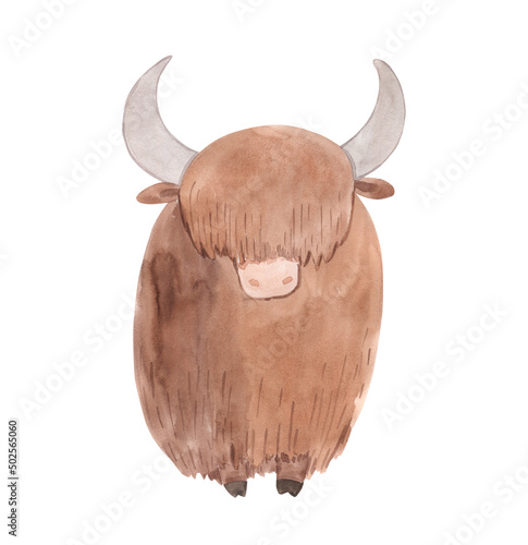 Watercolor yak illustration for kids photo