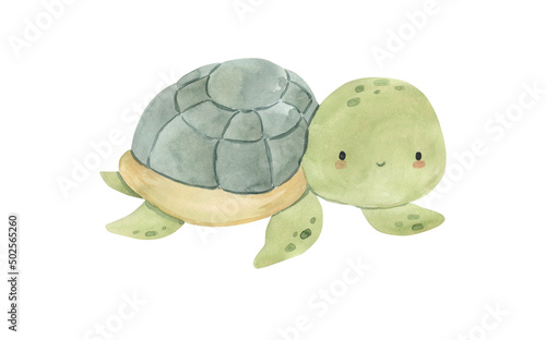 Photography Watercolor Turtle illustration for kids