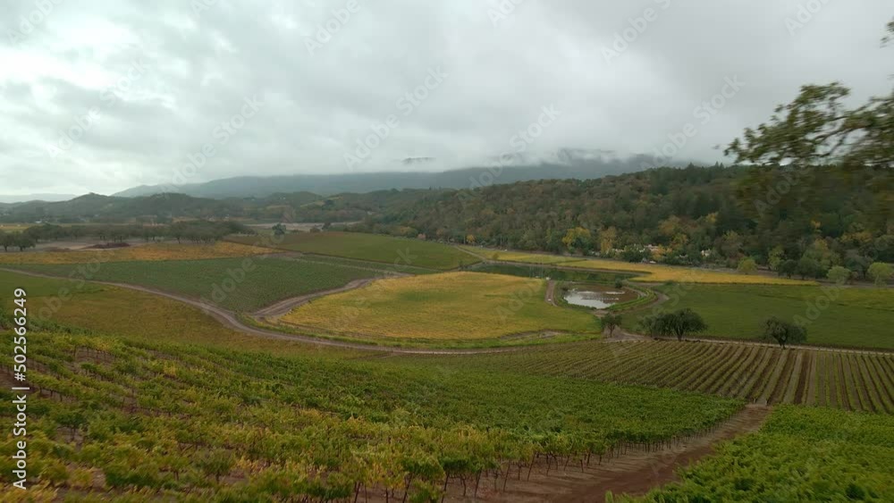 Aerial view over vineyards in Napa valley in California Aerial view over vineyards in Napa valley in California