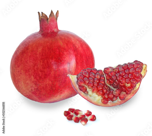 Pomegranate segment  isolated on white background