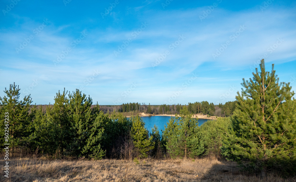 Summer landscape with a beautiful lake with fir trees against a cloudy sky