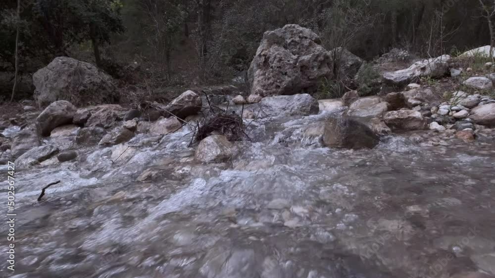 cold mountain water stream running in forest
cold mountain water stream running in forest