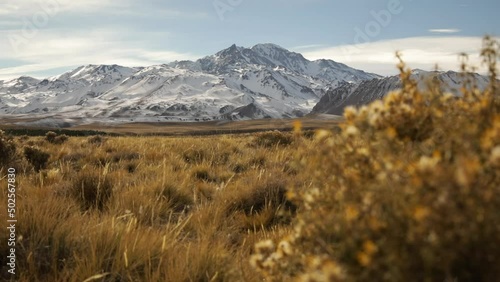 Alpine landscape. View of Volcano Domuyo and the Andes mountains in Patagonia Argentina. View of the yellow grassland and golden valley in autumn.