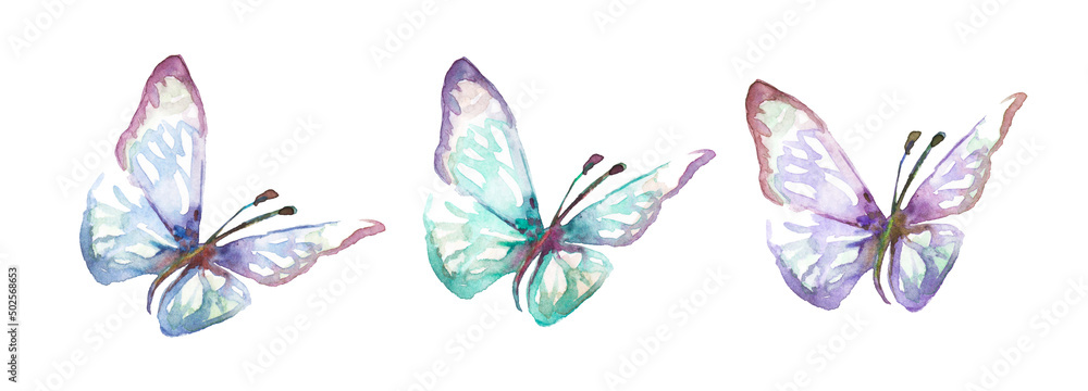 Watercolor blue tropical butterflies isolated on a white background. moths for design - obrazy, fototapety, plakaty 