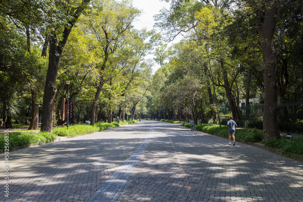 Mexico City, CDMX, Mexico, OCT 21 2021, People walking in Chapultepec park Mexico City, CDMX, Mexico, OCT 21 2021, People walking in Chapultepec park