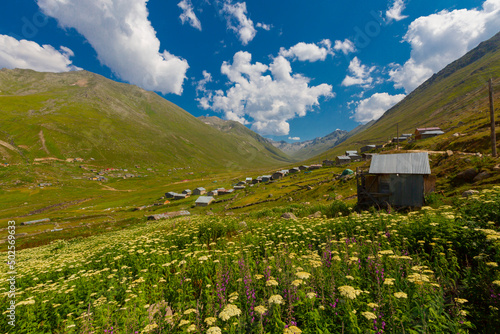 Persembe Plateau in the summer season. Highland houses and sheep grazing in the meadows. The most important Black Sea region travel destinations. Aybasti district, Ordu city, Turkey photo