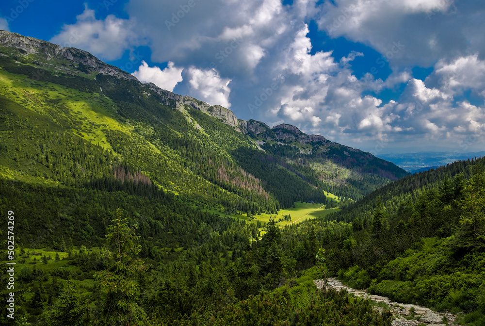 Tatry Polskie. Hala Kondratowa latem widziana z Przełęczy pod Kopą Kondracką. Tatra Mountains. Kondratowa Valley in summer, view from Przełęcz pod Kopą Kondracką Tatry Polskie. Hala Kondratowa latem widziana z Przełęczy pod Kopą Kondracką. Tatra Mountains. Kondratowa Valley in summer, view from Przełęcz pod Kopą Kondracką