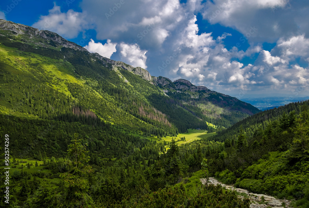 Tatry Polskie. Hala Kondratowa latem widziana z Przełęczy pod Kopą Kondracką. Tatra Mountains. Kondratowa Valley in summer, view from Przełęcz pod Kopą Kondracką