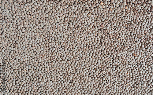 Vegetarian background of brown lentil grains.Top view, flatlay