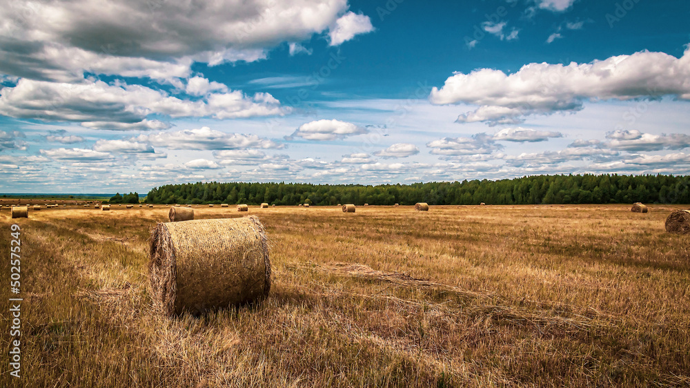 a field with straw bales