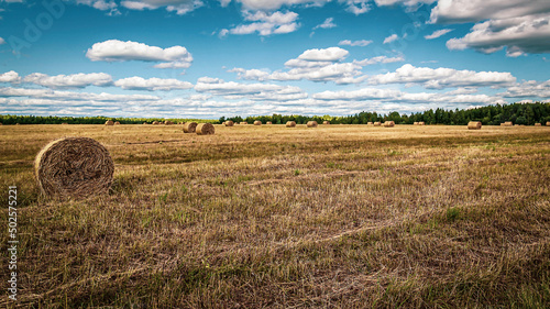 a field with straw bales