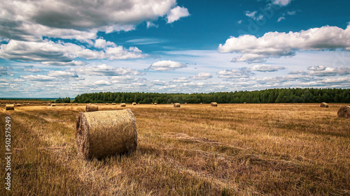 a field with straw bales