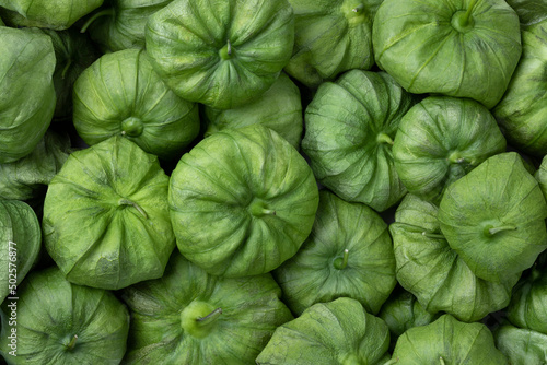 Fresh green tomatillo in a husk close up full frame as background   photo