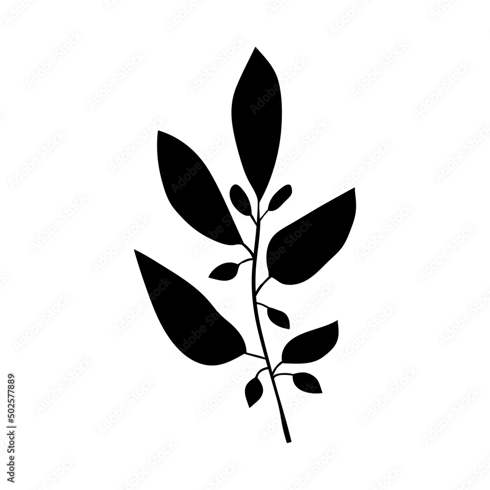 Floral branch. Herbs and forest plants. One sprig of grass with elegant leaves. botanical rustic pattern Floral branch. Herbs and forest plants. One sprig of grass with elegant leaves. botanical rustic pattern