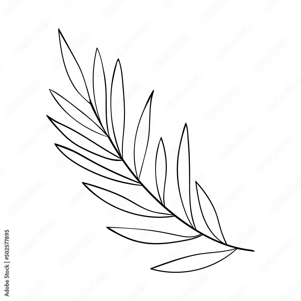 Floral branch. Herb and forest plant. One sprig of grass with elegant leaves. botanical rustic pattern Floral branch. Herb and forest plant. One sprig of grass with elegant leaves. botanical rustic pattern