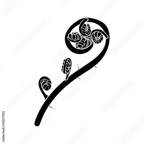 Young fern leaf, silhouette or print. Botanical drawing of taiga or jungle grass.