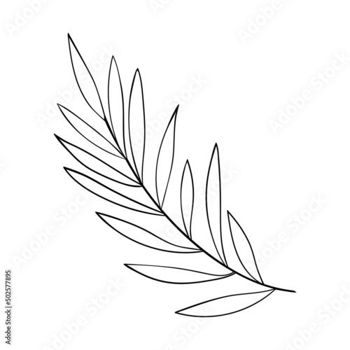 Floral branch. Herb and forest plant. One sprig of grass with elegant leaves. botanical rustic pattern