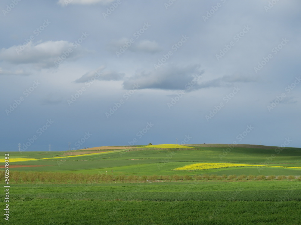 Obraz premium field and blue sky