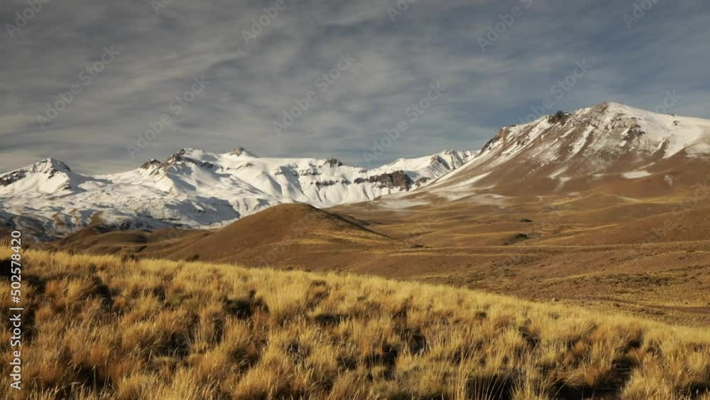 Alpine landscape. View of the yellow grassland and mountains in autumn. View of  Volcano Domuyo and the Andes cordillera in Patagonia. 