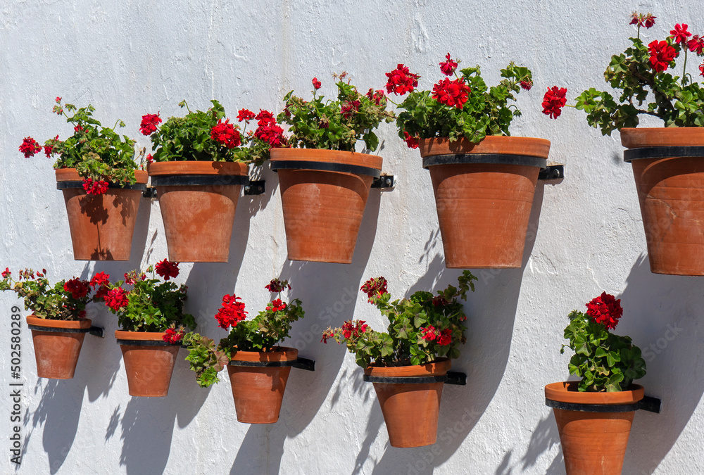 FLOWERPOTS ON A WHITE WALL IN A VILLAGE IN ANDALUSIA