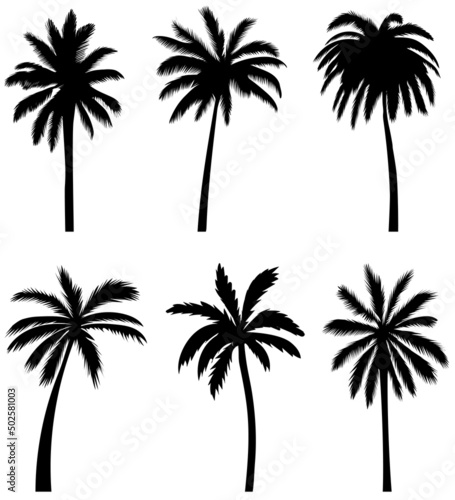 palm trees set silhouette  on white background  isolated  vector