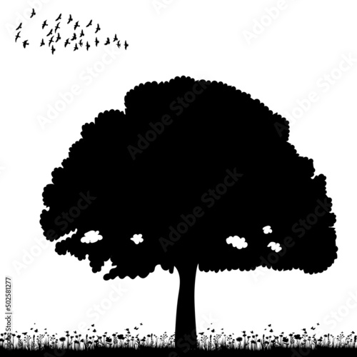 tree growing on grass silhouette, on white background, isolated © zolotons