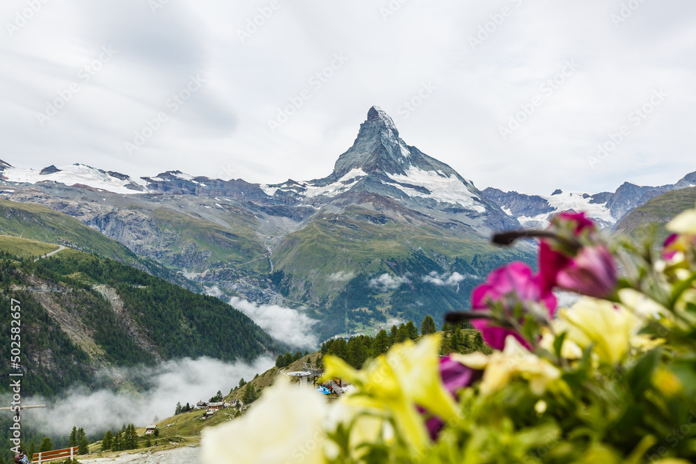 Idyllic landscape in the Alps with fresh green meadows and blooming flowers and snowcapped mountain tops in the background. Idyllic landscape in the Alps with fresh green meadows and blooming flowers and snowcapped mountain tops in the background.