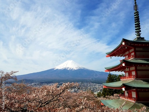 Mount Fuji with pagoda and cherry blossom trees