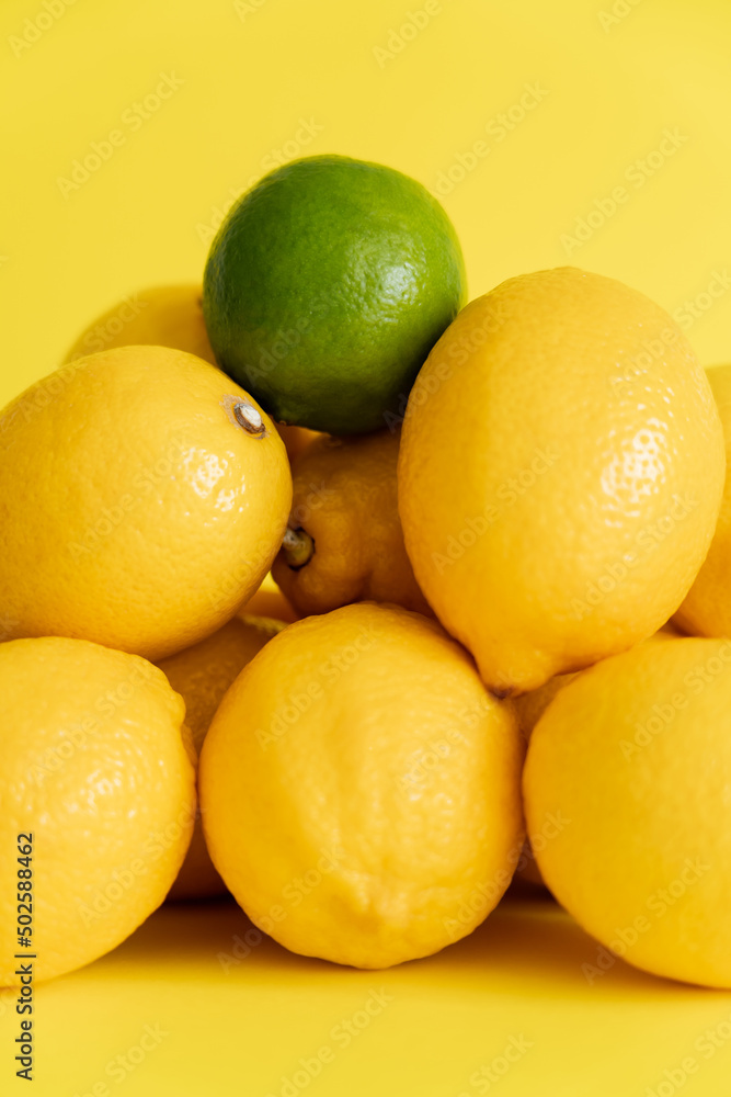 Close up view of green lime on lemons on yellow surface Close up view of green lime on lemons on yellow surface