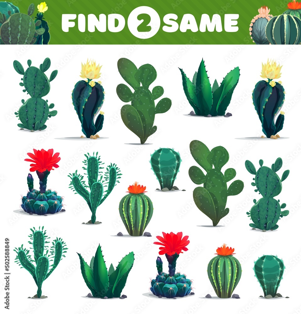 Find two same cacti succulents, kids game worksheet, vector puzzle or ...