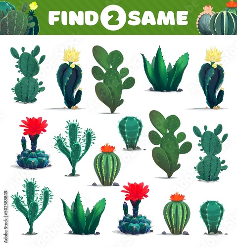 Find two same cacti succulents, kids game worksheet, vector puzzle or riddle. Entertainment and logic brainteaser game to match and find similar tropical plants of cactus agave or opuntia flower
