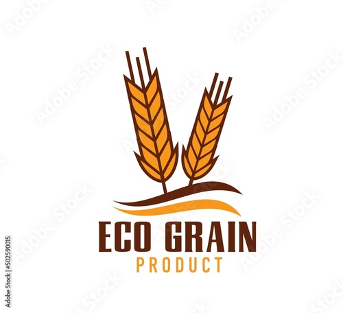 Wheat icon, rice, oat, barle, millet cereal ears. Isolated vector icon of yellow spikelets with ripe grains or seeds, eco grain, cereal food, bakery or bread house symbol, agriculture themes