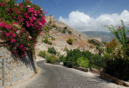 A street with bright pink flowers and a view of part of the Alanya Kalesi fortress in the center of Alanya in southern Turkey photo