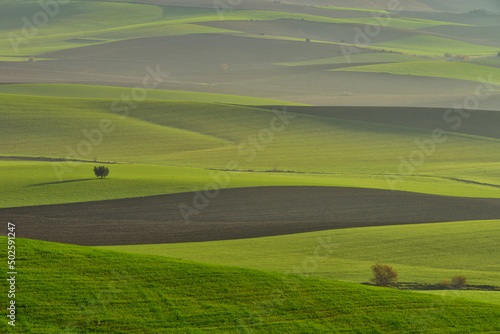 Agricultural fields in countryside on summer day