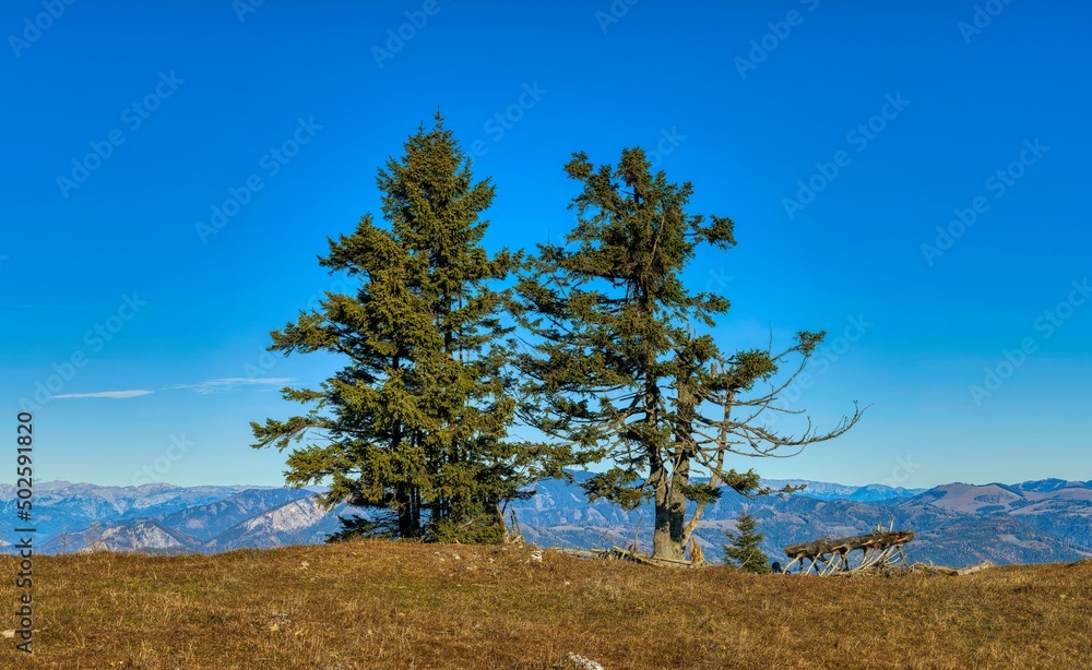 Obraz premium On top of the mountain in late autumn