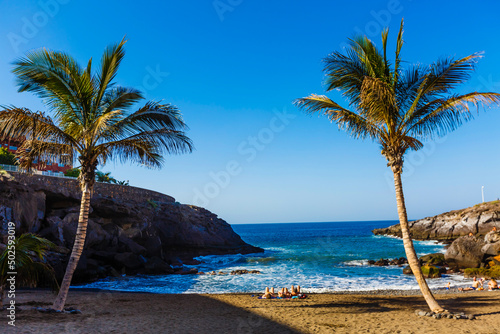 Palm Trees - Perfect palm trees against a beautiful blue sky and the ocean  tenerife