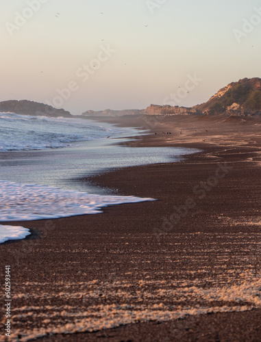 Beach in the region of Maule, Chile photo