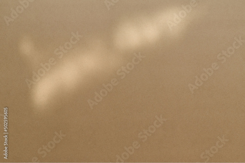 Top view flat lay background with organic shadows, bokeh, and texture on a kraft paper background. Minimal summer lights and shadow concept.